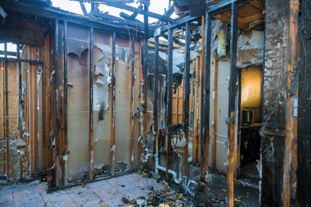 Professional Fire Damage Removal technician working in Lake Panasoffkee, FL